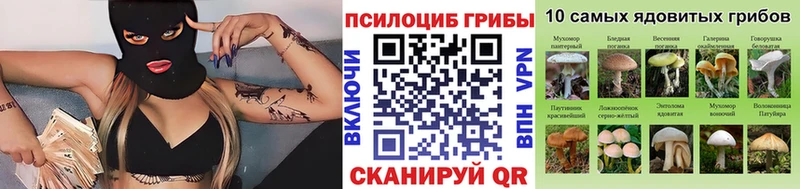 Псилоцибиновые грибы Psilocybe  Иннополис 