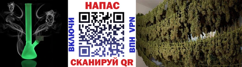 Бошки Шишки SATIVA & INDICA  Иннополис 